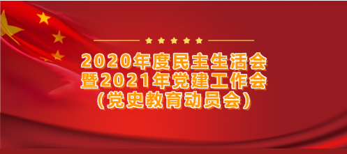 宝马论坛118神童网党委召开——2020年度民主生活会暨2021年党建工作会（党史教育动员会）